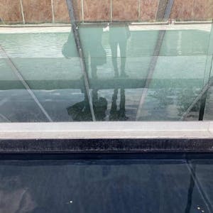 Carmen Fregoso Rojas