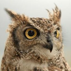 Ricardo Del Rio Rubial