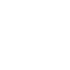 What Three Libraries Would You Bring to a Pub Fight icon