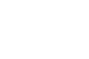 Sisense