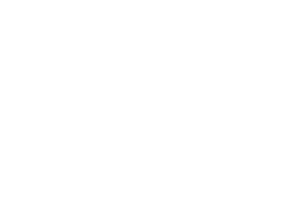 Sisense
