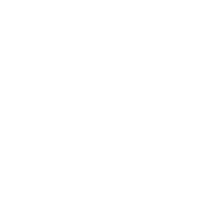 Evolution of Ecosystem/Language icon