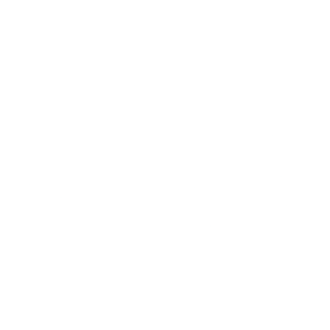 AI and Developer Tooling icon