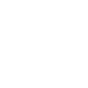 Performance Prioritisation icon