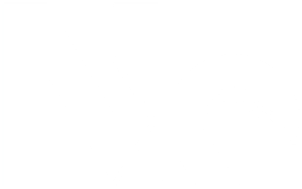 Nx logo