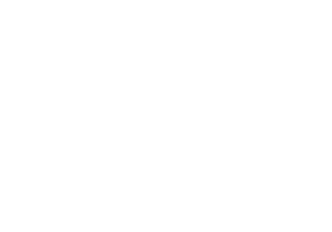 Practical AI icon
