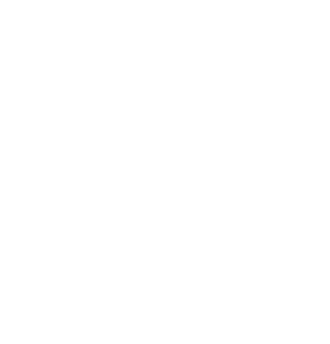 Growing to Senior & TechLead logo
