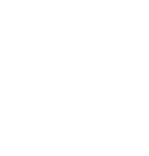 Growing to Senior & TechLead logo