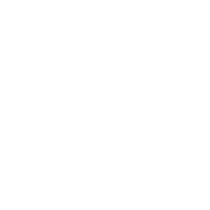 Future of Native logo