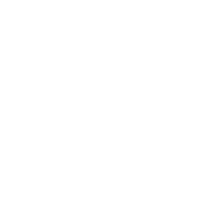 Trusting AI Systems: How Much Is Too Much? logo